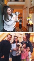 The Smile Spot IPAD Winner