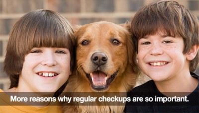 What You Should Know About Your Child’s Dental Fillings