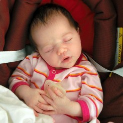 Pacifiers, Thumb Sucking And Oral Health