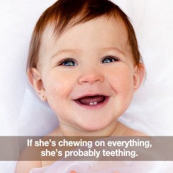 Better Understanding Your Baby’s Teeth Development