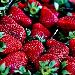 DIY Teeth Whitening Trends: Fact Or Fiction?