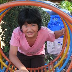 The Anatomy Of A Tooth