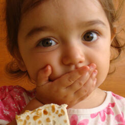 Type 1 Diabetes and Dental Health