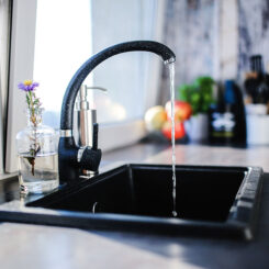 The History of Fluoride and Healthy Teeth