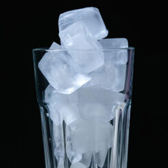Dental Health PSA: Stop Chewing Ice!